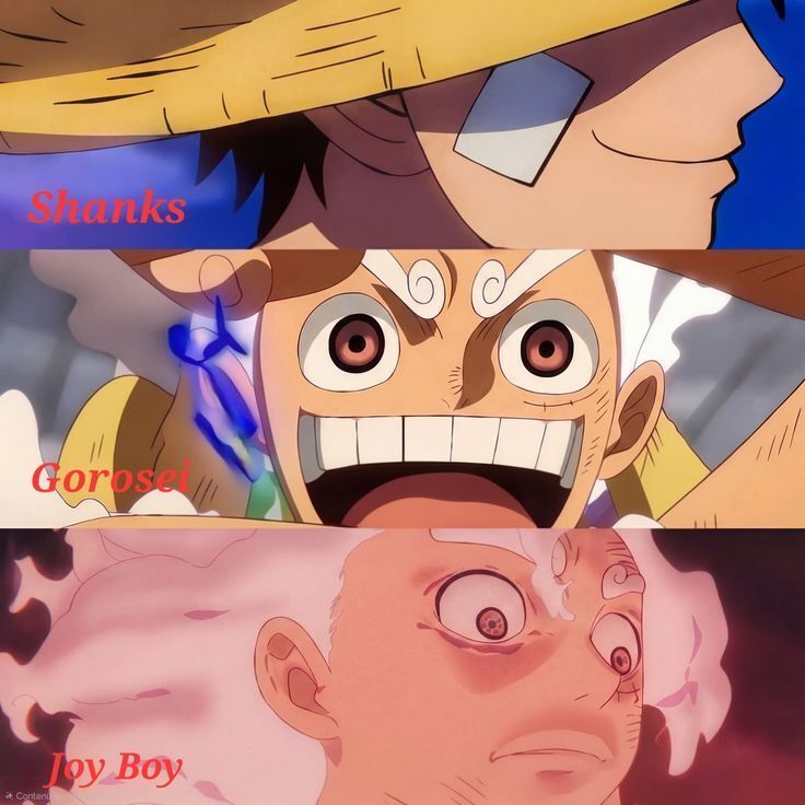 One Piece Daily tweet media