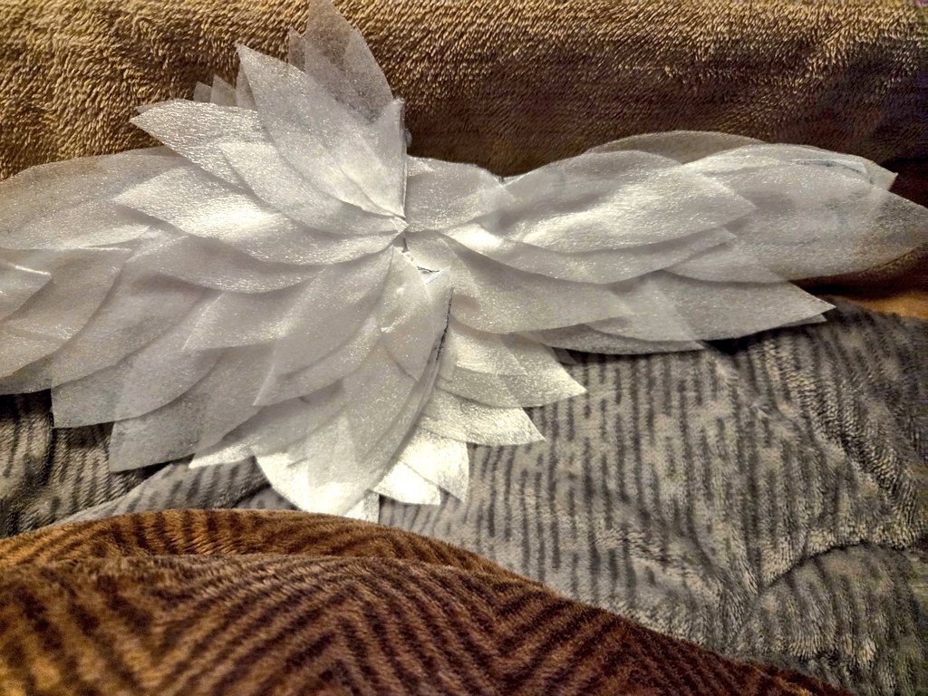 ダイリ tweet media