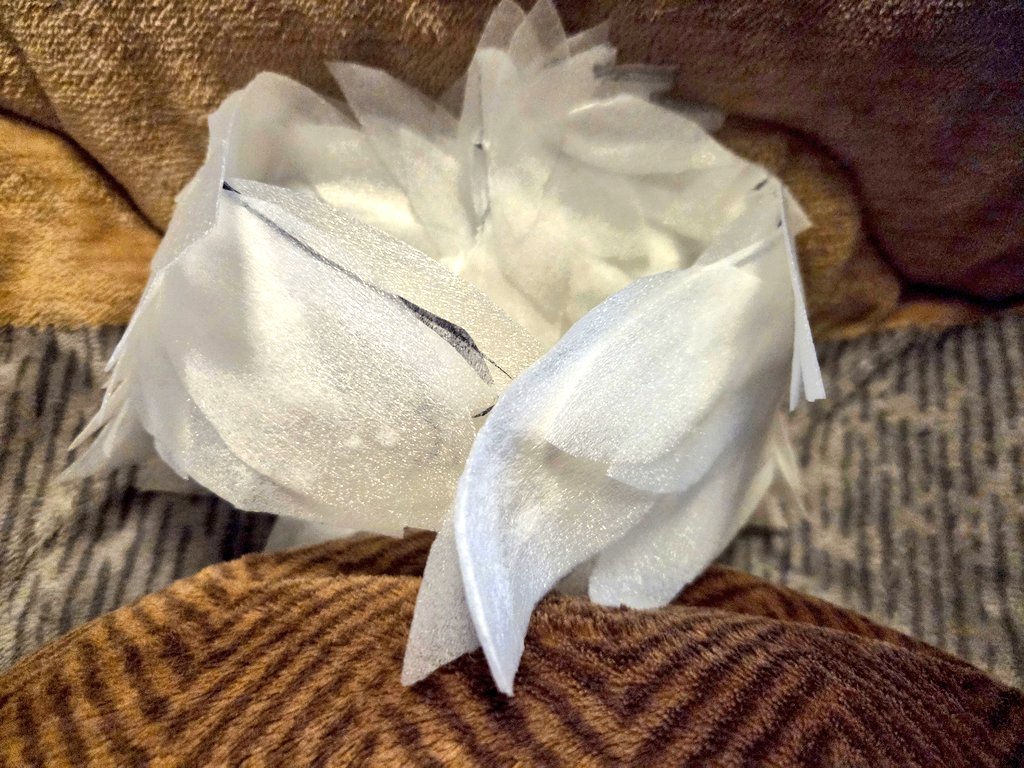 ダイリ tweet media