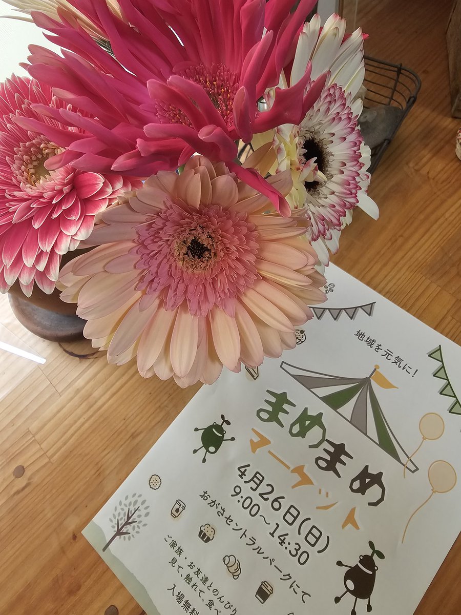 はみんぐばーど
とだしょdeマルシェにて

今日もかわいい、お花がいっぱいでした
まめまめにも綺麗なお花をそろえて出店!

まめまめマーケット2026出店します～
4/26日 おがさセントラルパークにて

#まめまめマーケット
#おがさセントラルパーク
#まめまめ
#はみんぐばーど

@hmgb.1111