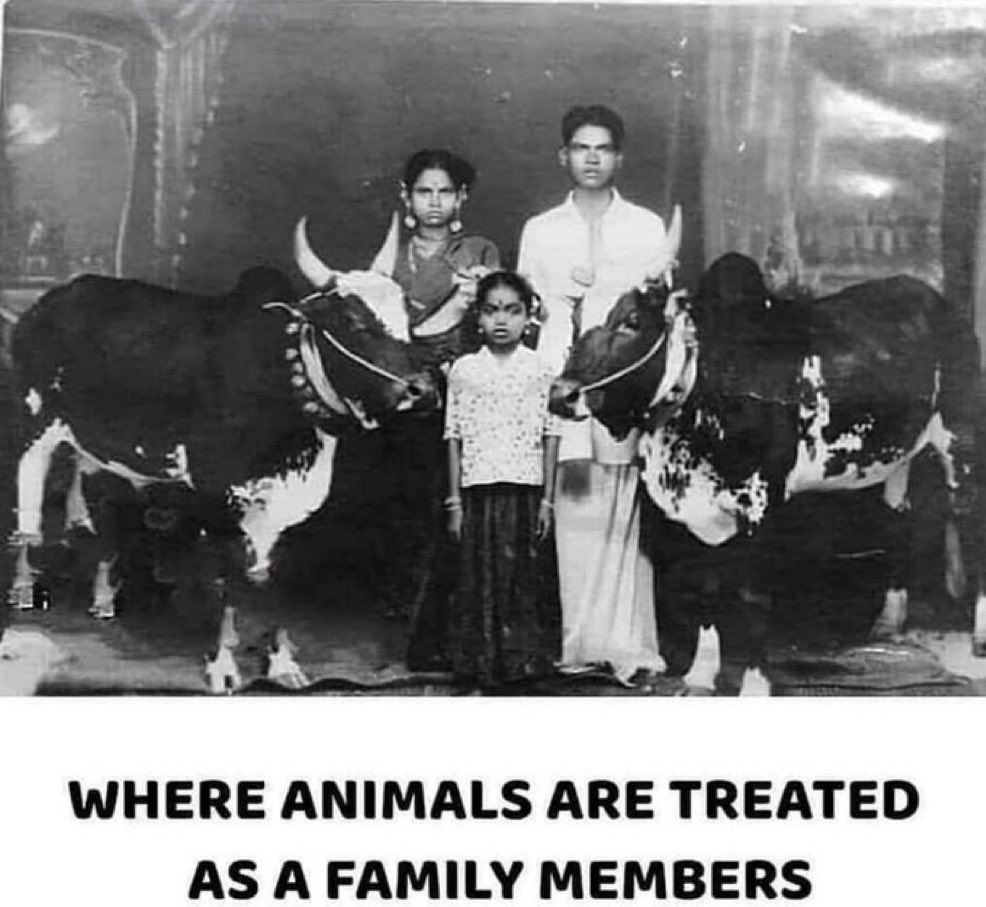 Bhagavad Gita tweet media