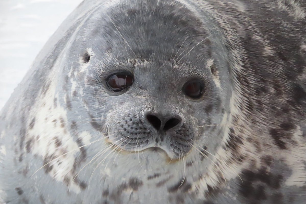 ゆちょん tweet media