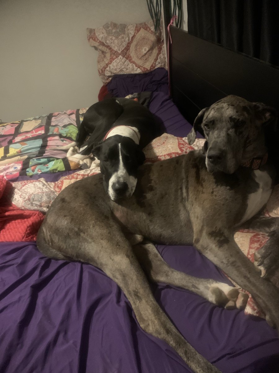 Lugmadness tweet media