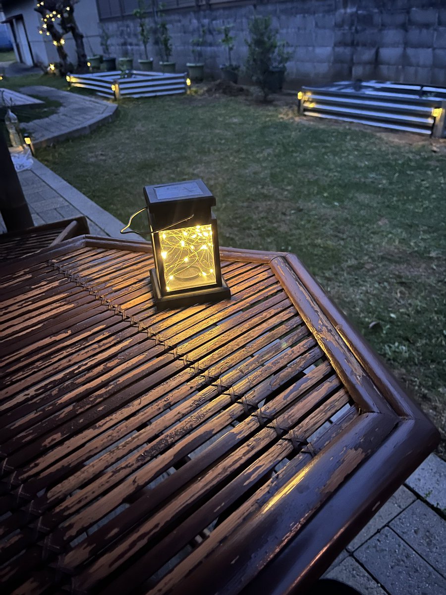 庭にいるルチン tweet media