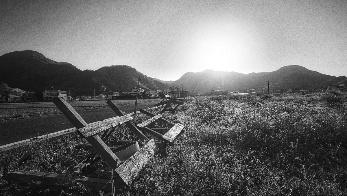 kazu ‘‘Tsurezure Photo Journal‘’ tweet media