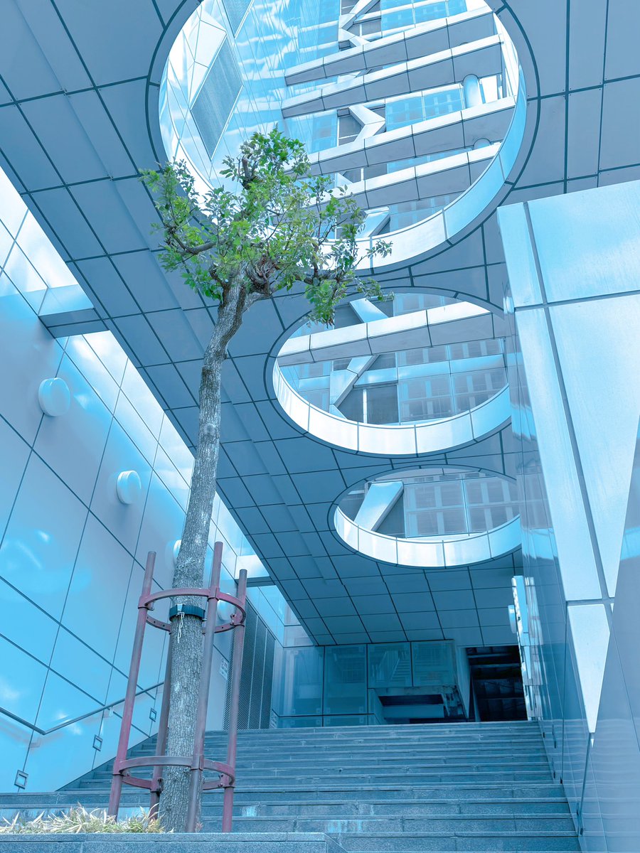 ｱｵｼﾏ🏝️ tweet media