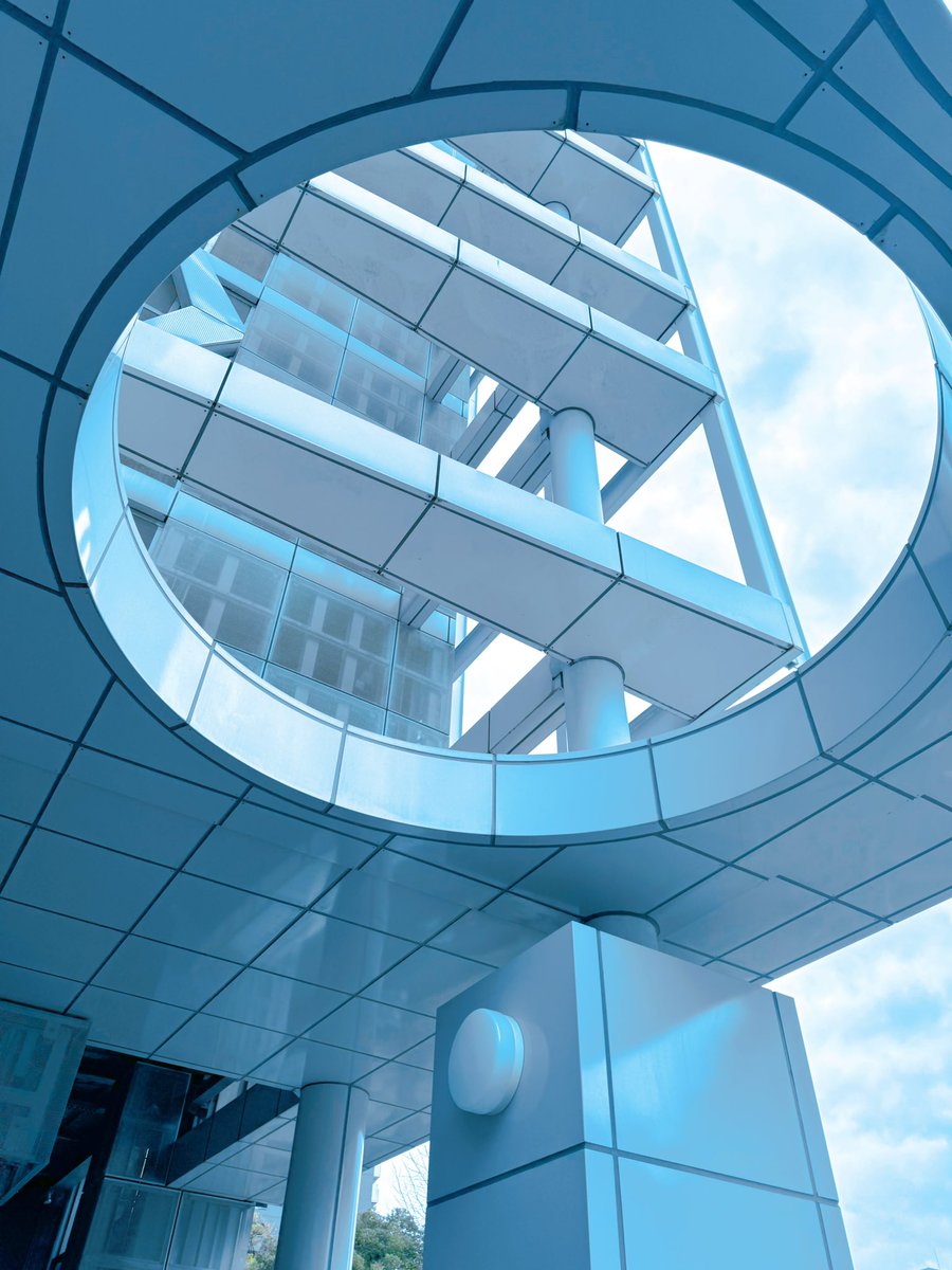 ｱｵｼﾏ🏝️ tweet media