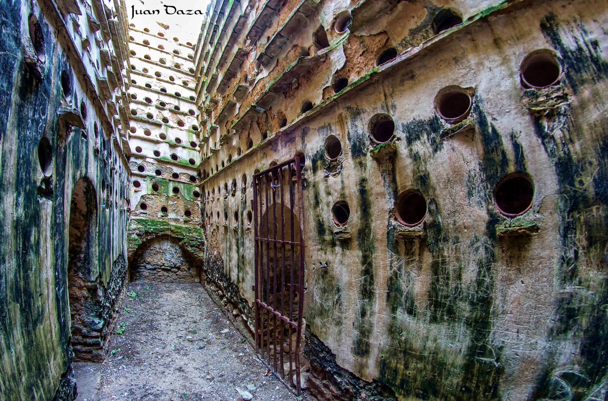 Barbate Turismo tweet media