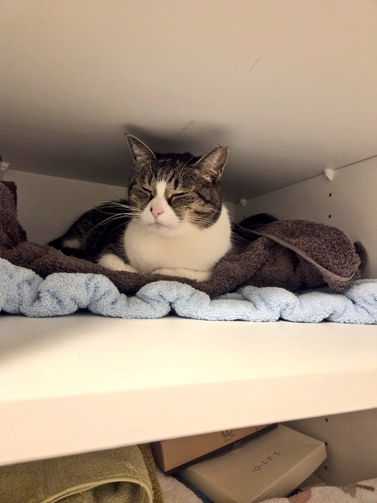 つくね tweet media