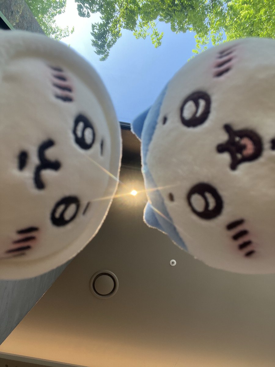 haejume's tweet photo. 시험기간? 공부?
무슨 소리 하는거야 너 꿈꿨어?
오늘 토벌 안할거야? https://t.co/qHWsM3g8v0