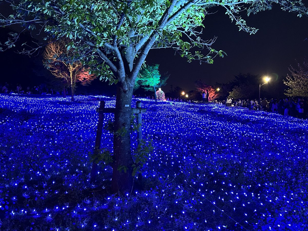 碧(あお)🚙 tweet media