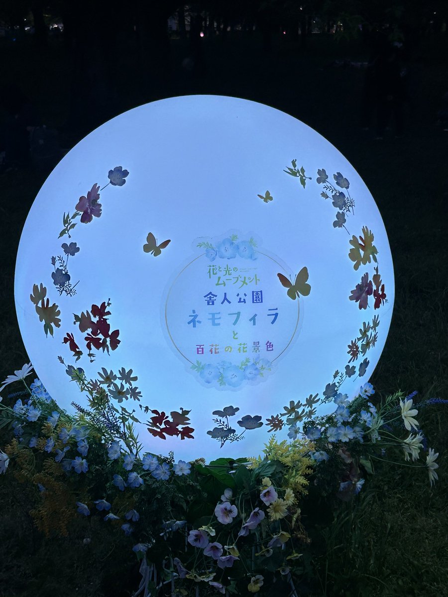 碧(あお)🚙 tweet media