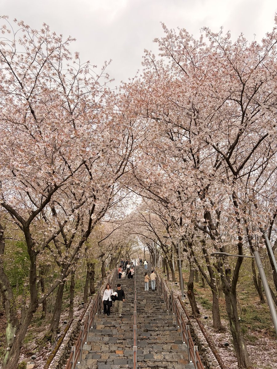 𝐫𝐞𝐢𝐧. tweet media