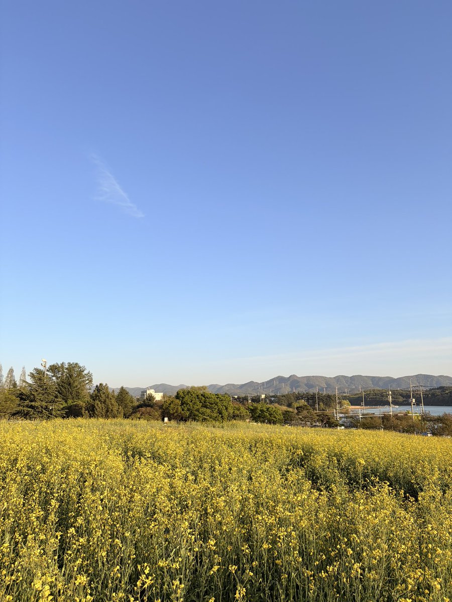 𝐫𝐞𝐢𝐧. tweet media