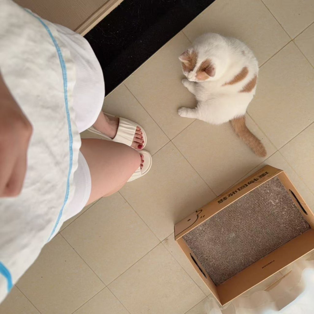 兔子吃饭 tweet media