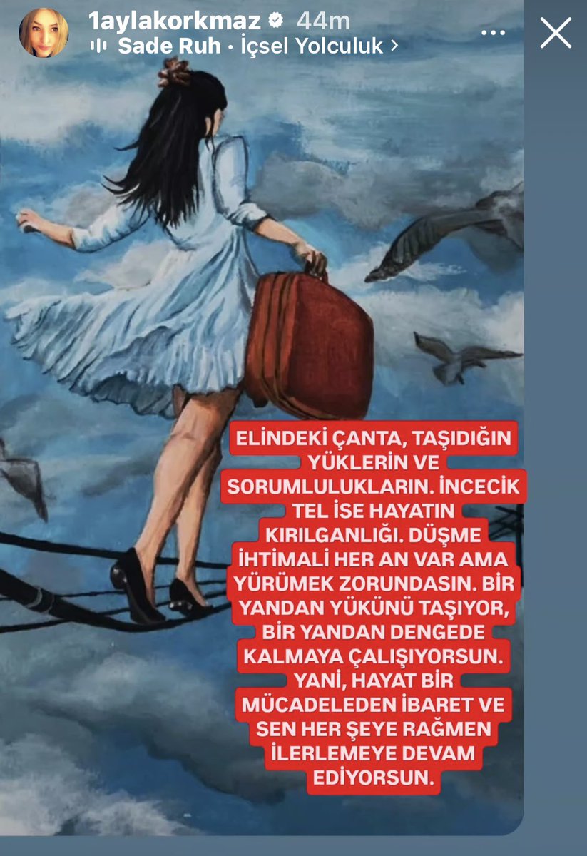 سفرجل tweet media