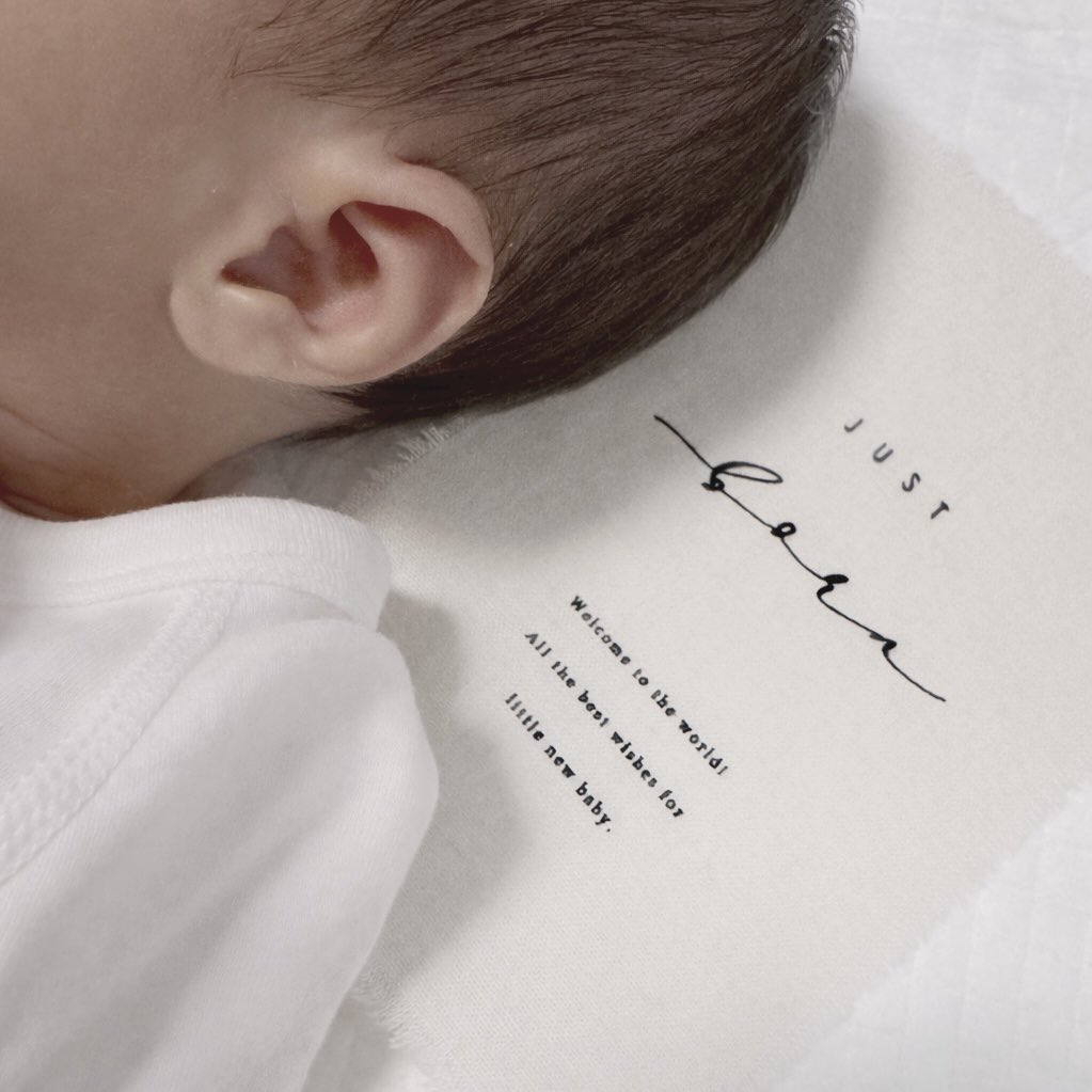 こばやし。 tweet media