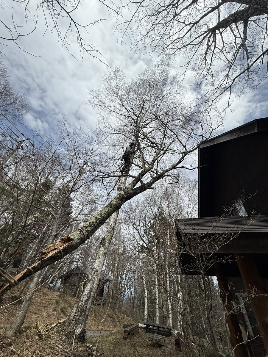 Yukihiro Koyama 小山 教洋 tweet media