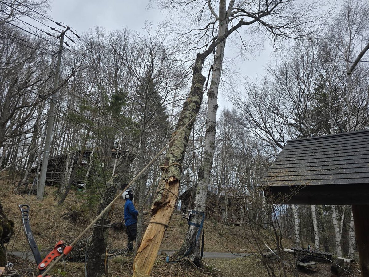 Yukihiro Koyama 小山 教洋 tweet media