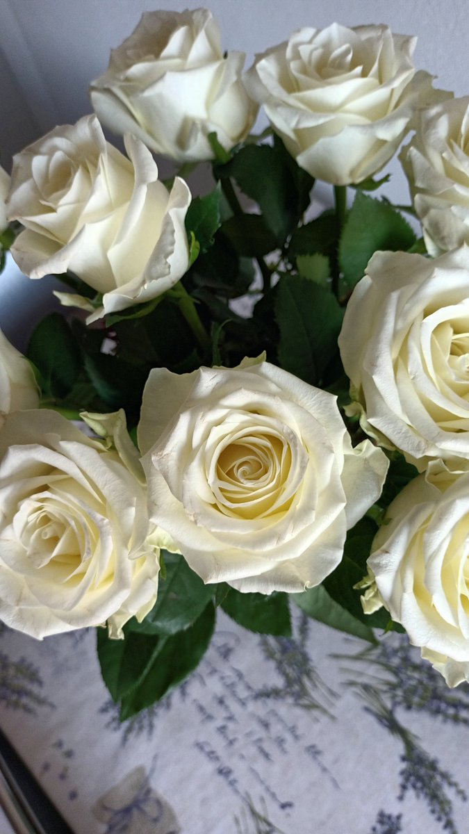 Valentina 🌟🔴⚫ tweet media