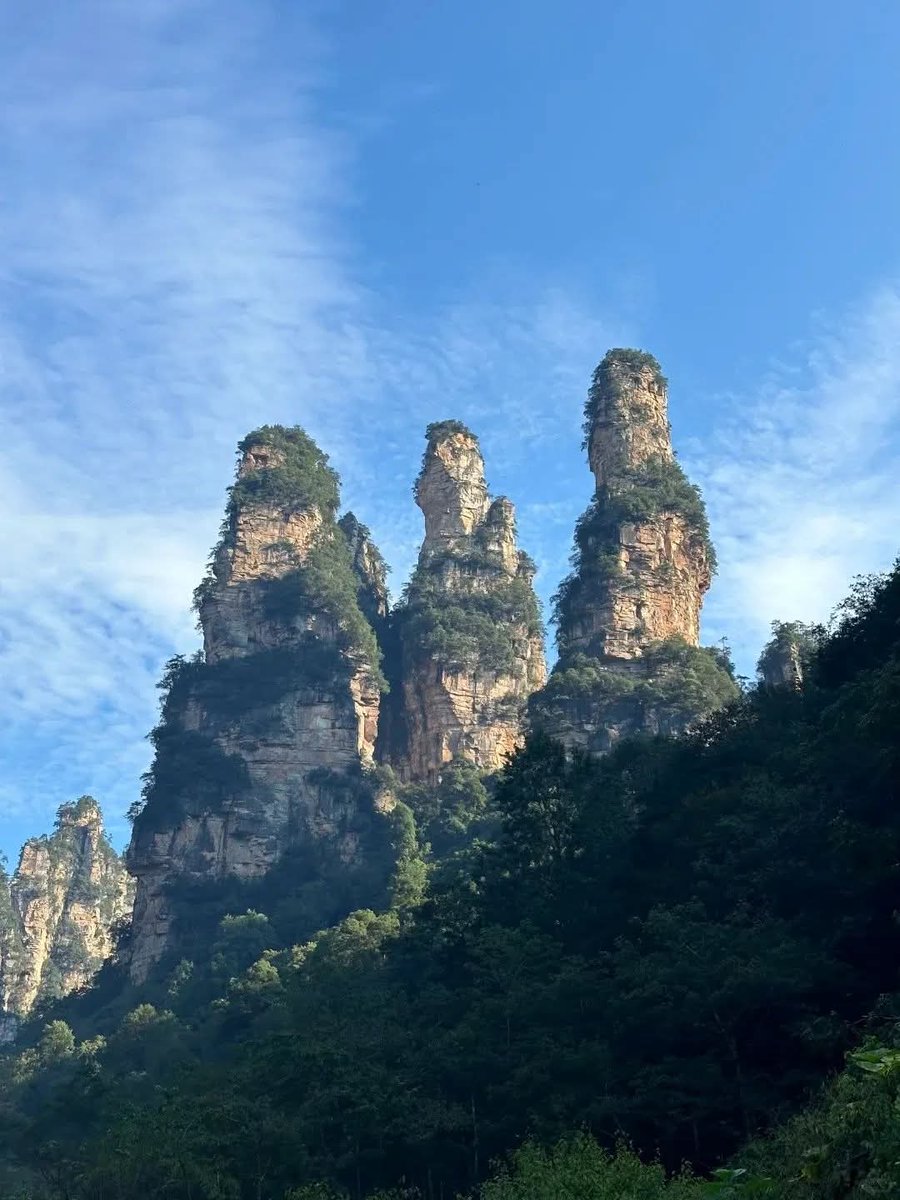 Rhea 温依若 tweet media