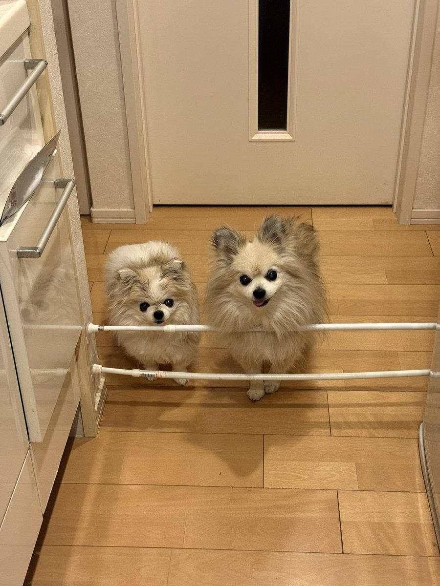 花上貴之 🇺🇦 イラストレーター tweet media