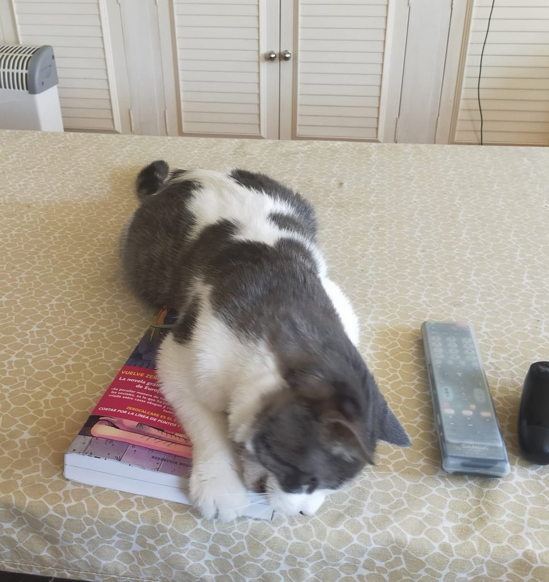 Khaleesi tweet media