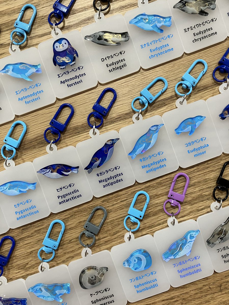 すずの木洋品店/suzumoe tweet media