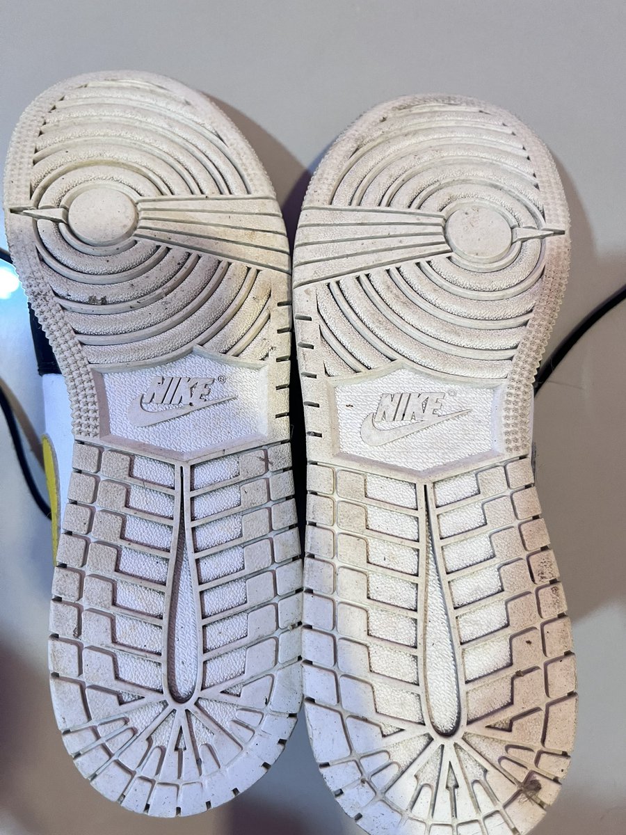 🐈🌸 tweet media