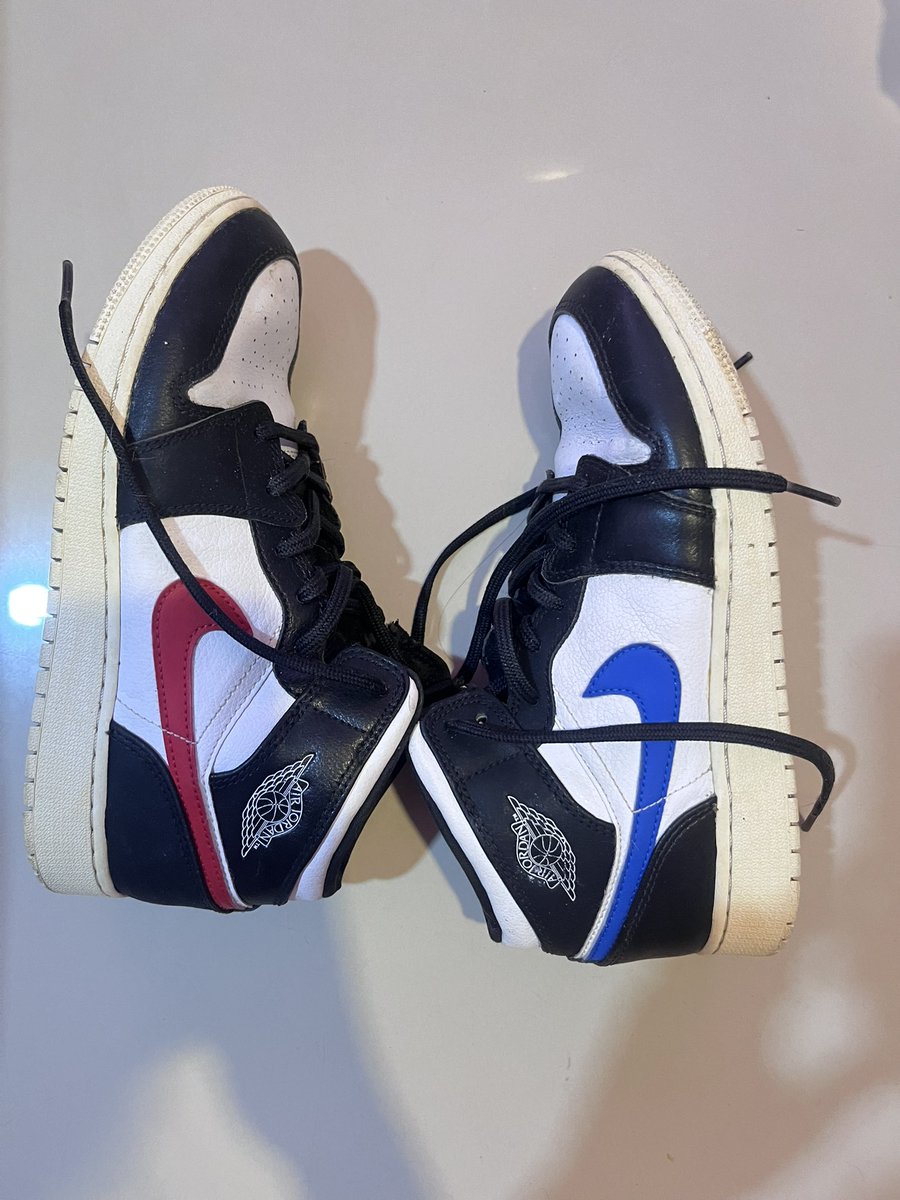 🐈🌸 tweet media