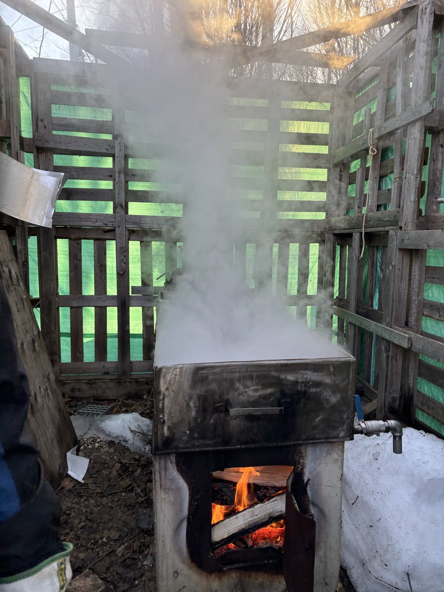Hal_Cormier's tweet photo. Great day for second maple sap boil of the season, here in Boomsiding #nlwx https://t.co/MgpYWwGcqH