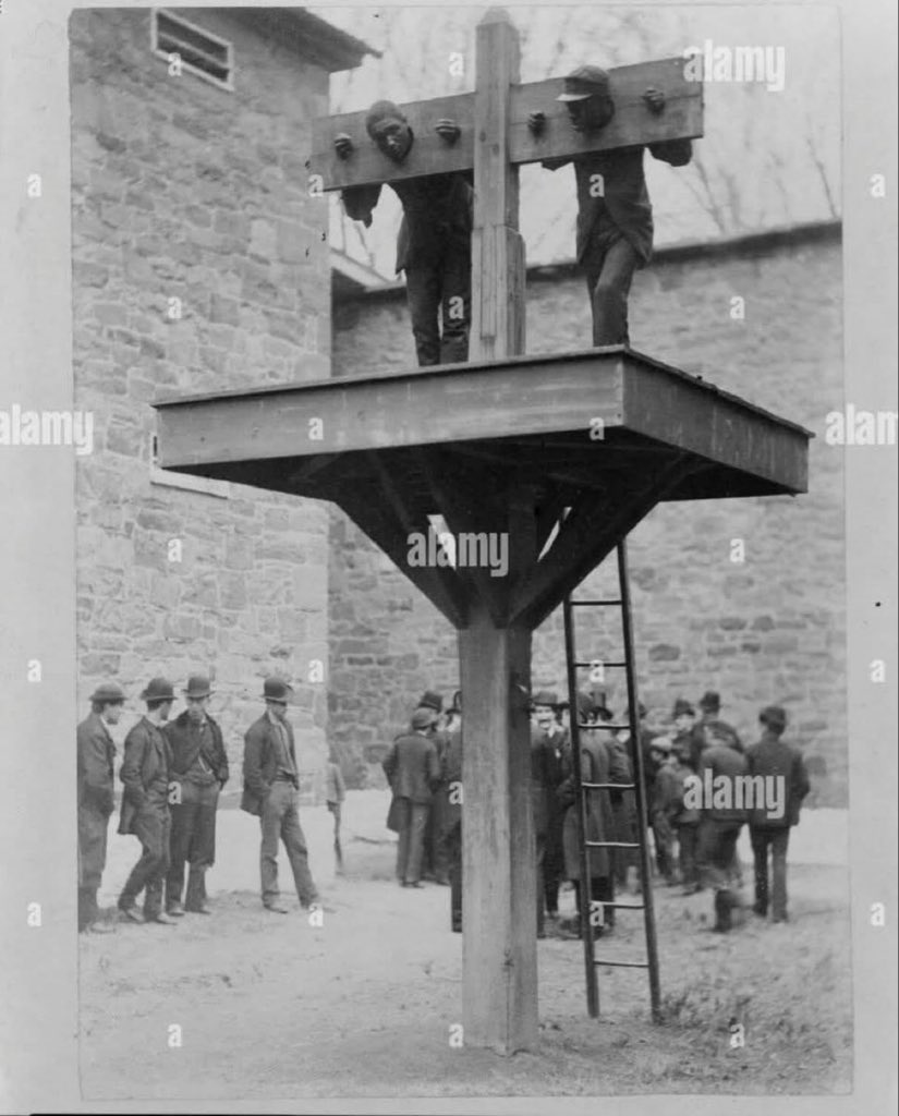 Vox Africana tweet media