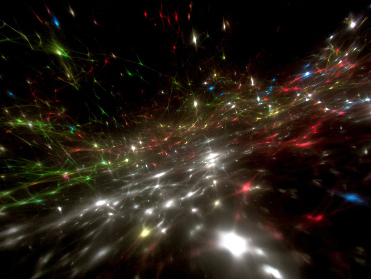 You (@parafactual) on Twitter photo 