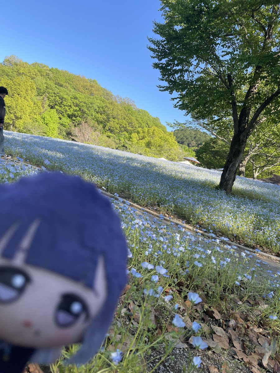 まるでぃ@ tweet media