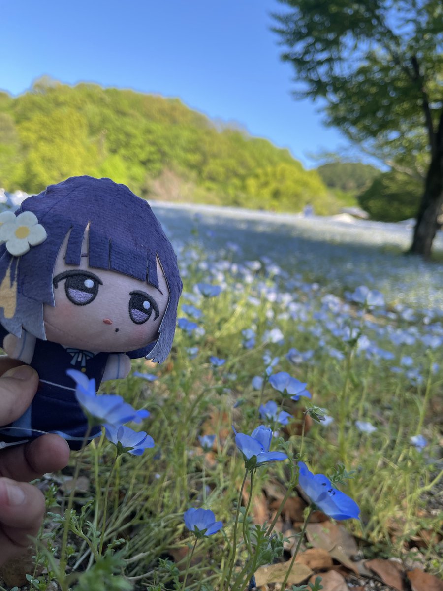 まるでぃ@ tweet media