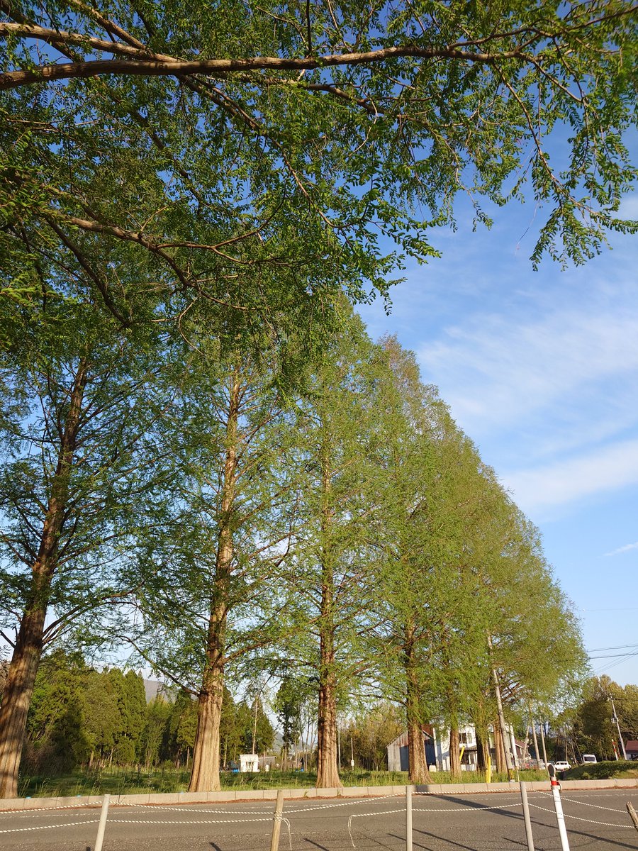 tona🐾 tweet media