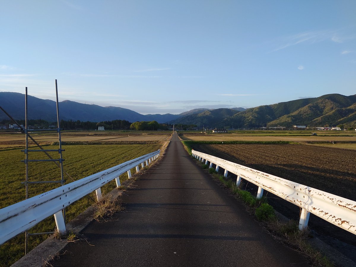 tona🐾 tweet media