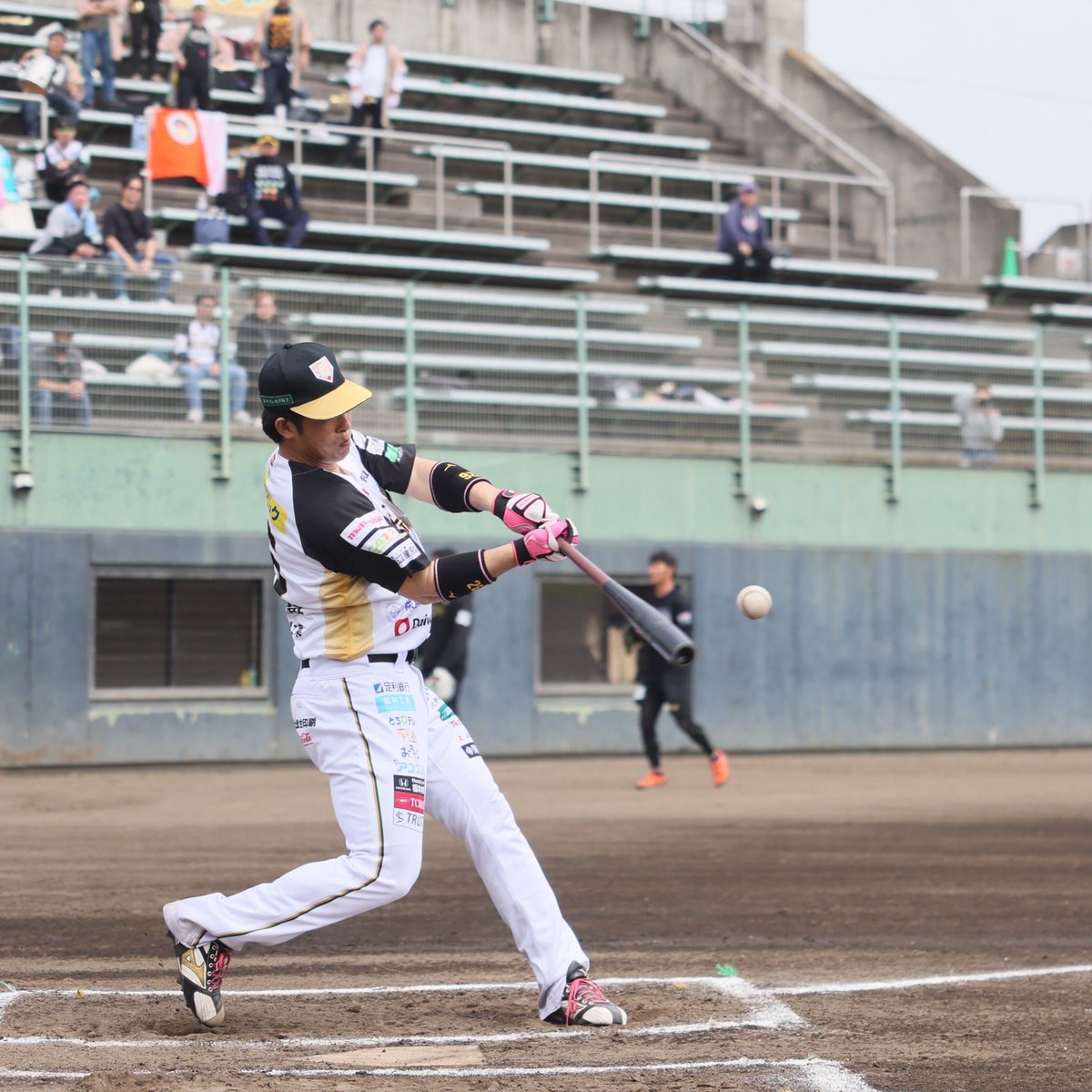 栃木ゴールデンブレーブス【公式】 tweet media