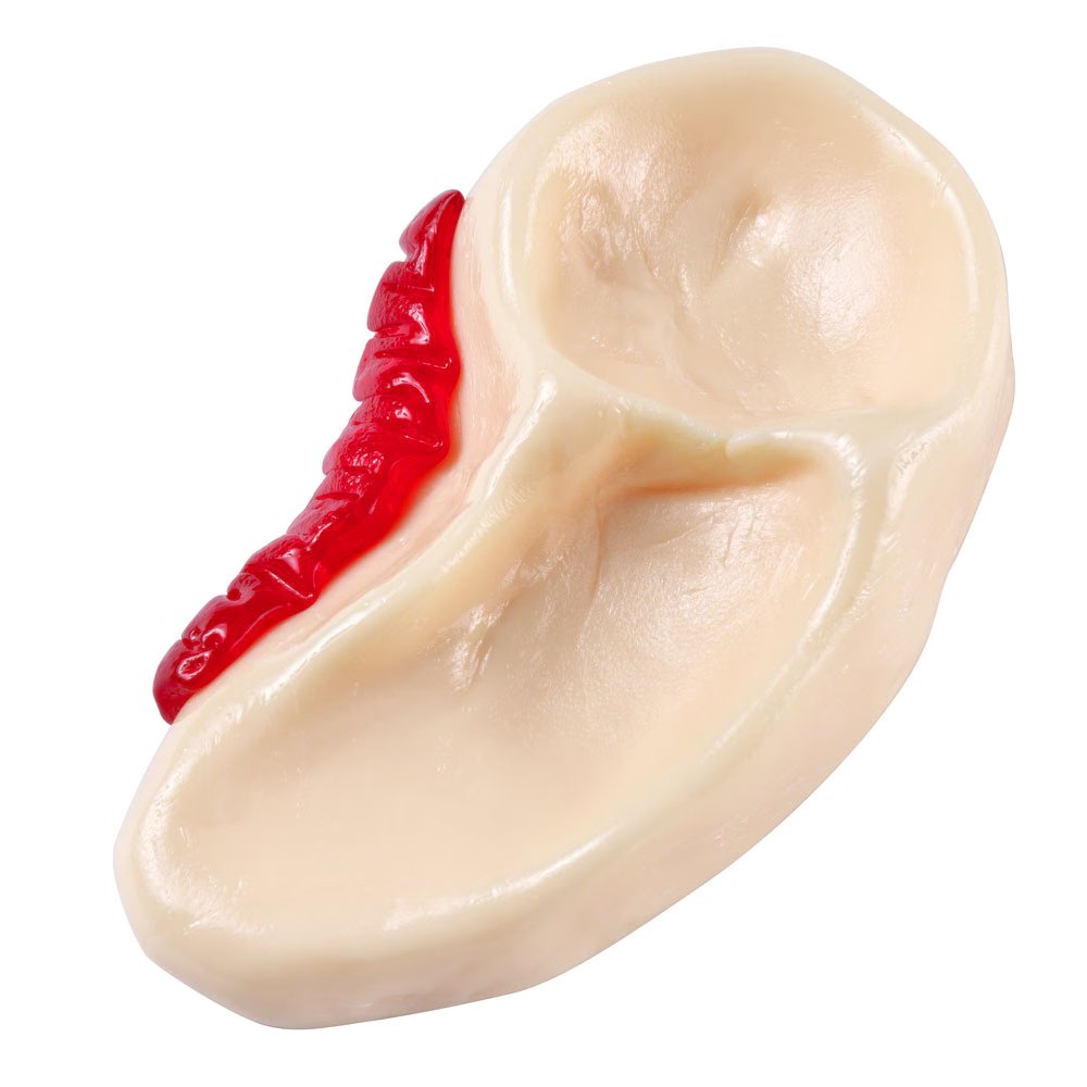 墓場の画廊　中野店 tweet media