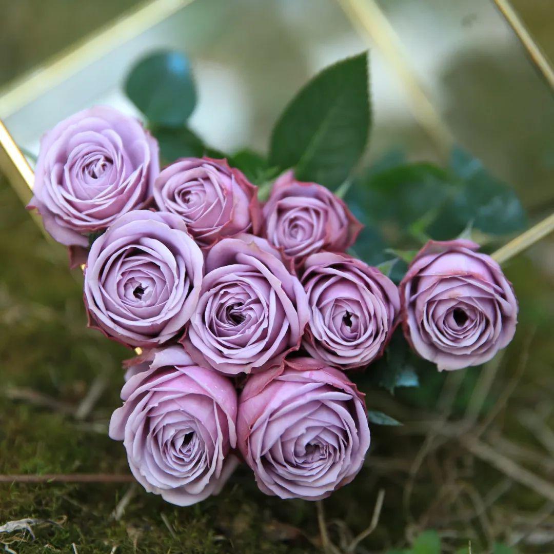 amysue531's tweet image. "Dive into a watercolor wonderland—blurred edges, soft hues, and quiet magic. Every brushstroke breathes life into the canvas.  #ArtLovers #CreativeVibes"