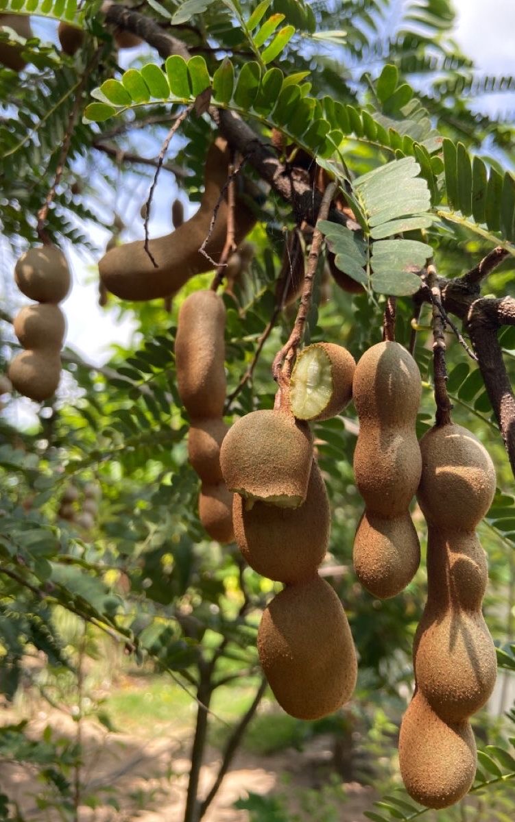 Eat Simple tweet media