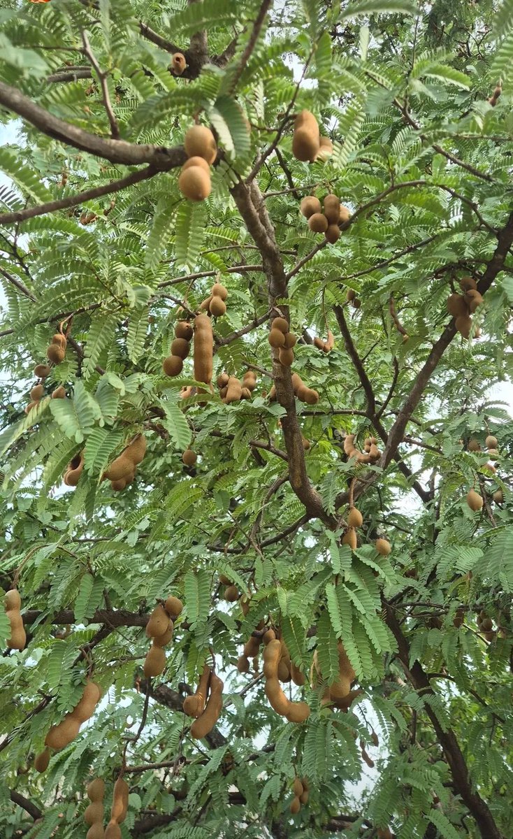 Eat Simple tweet media