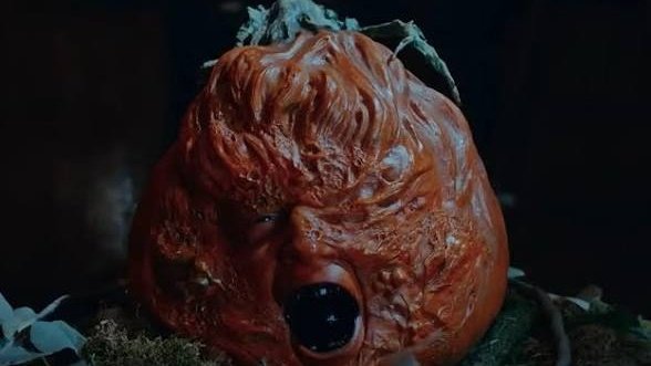 TerrorActo tweet media