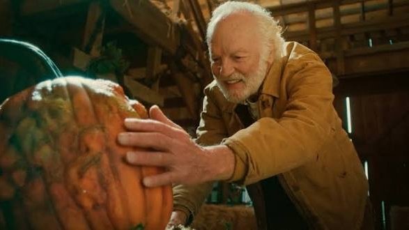 TerrorActo tweet media