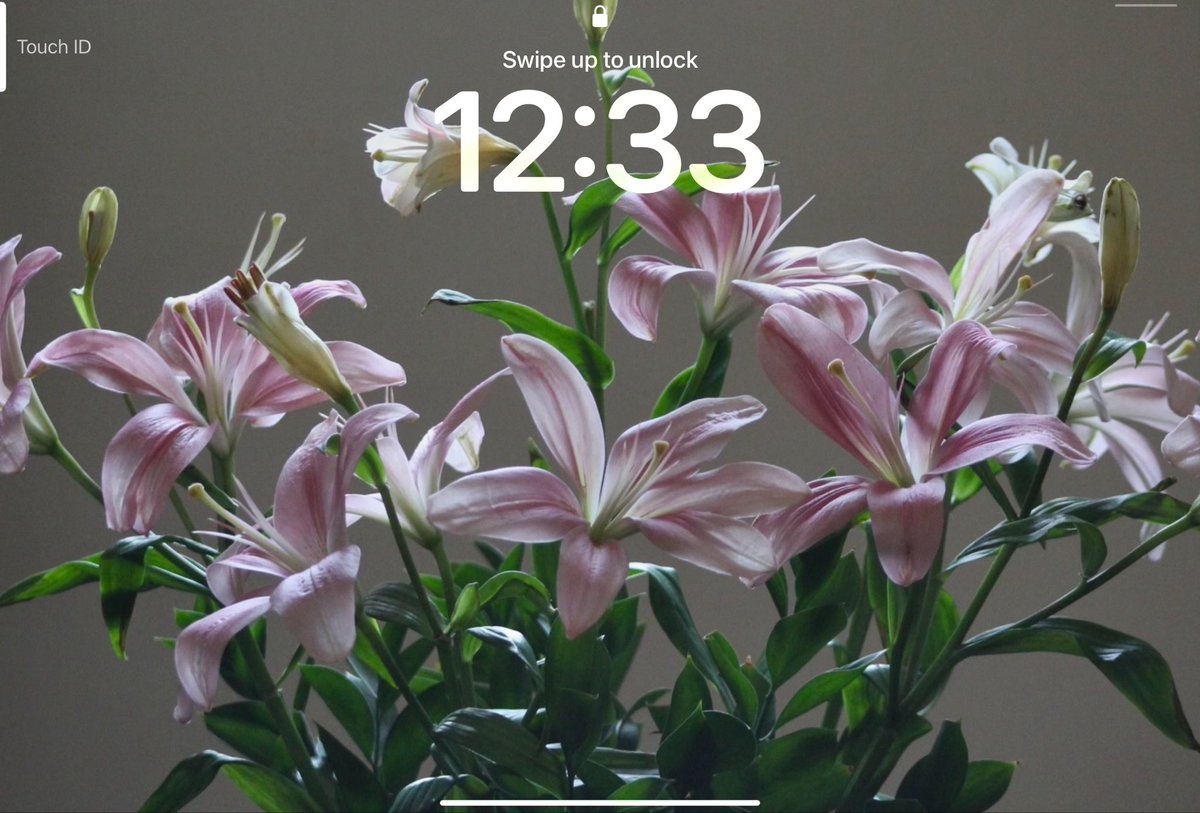 العـنود tweet media