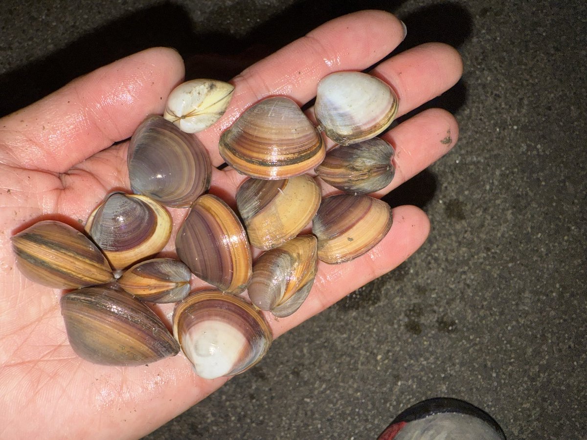 YU〜電工女子エアコン女子@電工一年生 tweet media