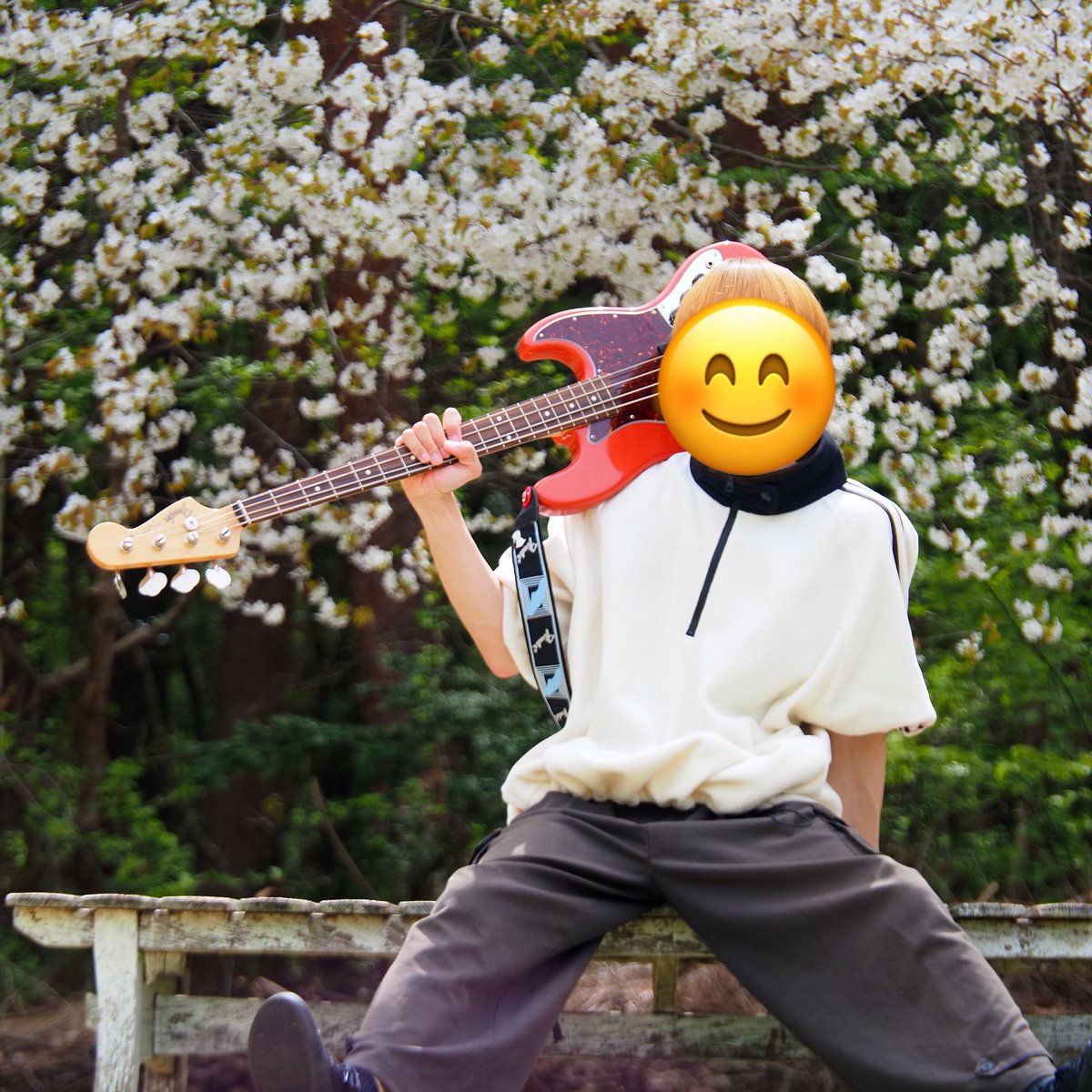 いい写真すぎる