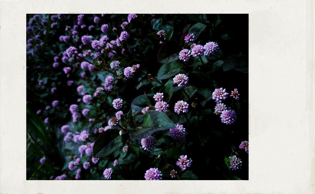 無題 (@untitled_days) on Twitter photo 