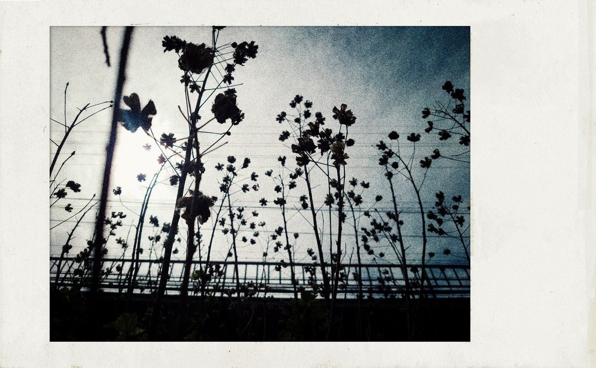 無題 (@untitled_days) on Twitter photo 