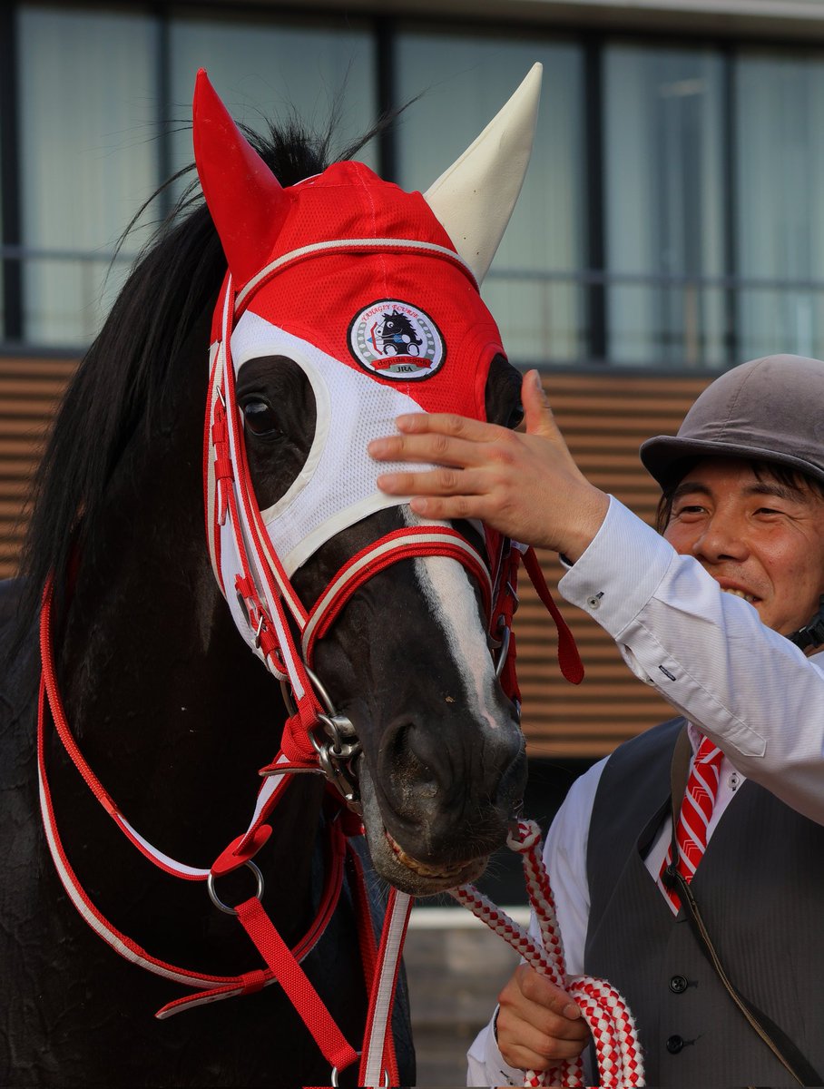 8NO97iZLFl86846's tweet photo. 勝ちとか負けとか関係なく
ただ君が無事に帰ってきてくれたことが幸せ 
担当さんがずっとにこにこで頑張ったね。と声をかけていて
王者には届かなかったしみんな強かった中ほんとに頑張ってたと思います
 #ホウオウプロサンゲ https://t.co/BVKwzGTgQq